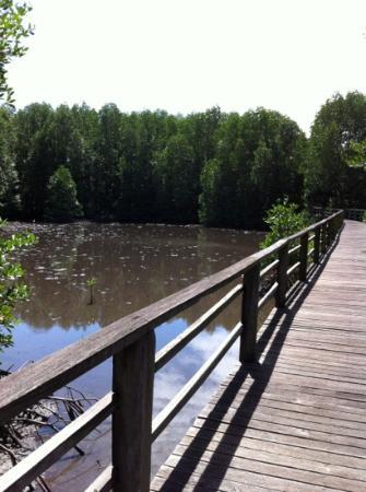 Pusat Tanah Lembap Kota Kinabalu